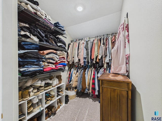 577 60th Ave, Beaver Creek, MN 56116 - walk in closet featuring carpet flooring and lofted ceiling