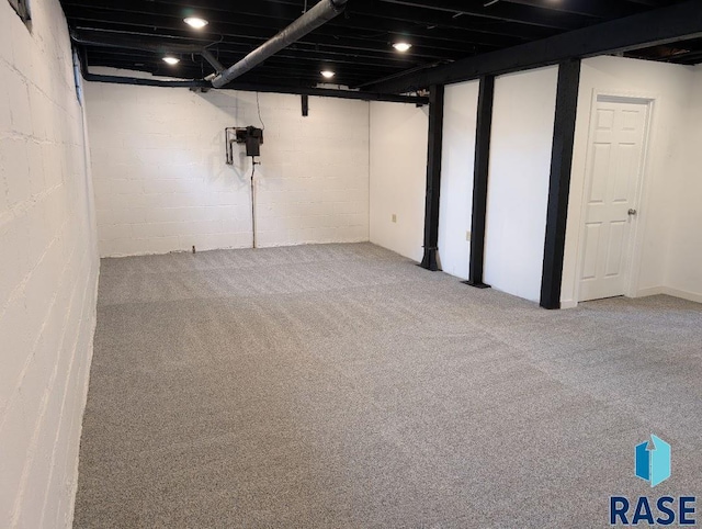 302 E 19th St, Sioux Falls, SD 57105 - finished below grade area with carpet flooring