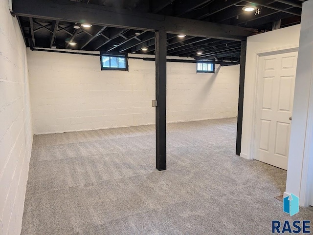 302 E 19th St, Sioux Falls, SD 57105 - below grade area with carpet floors
