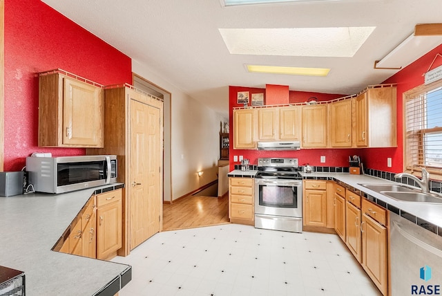 27549 475th Ave, Worthing, SD 57077 - kitchen with appliances with stainless steel finishes, under cabinet range hood, a sink, light flooring, and lofted ceiling