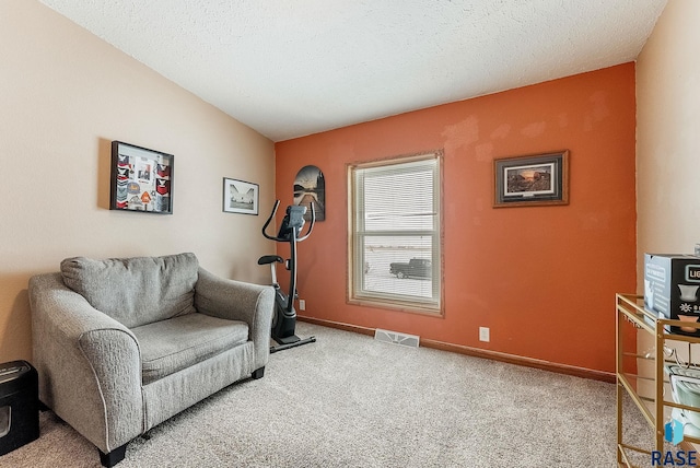 27549 475th Ave, Worthing, SD 57077 - sitting room with carpet floors and baseboards