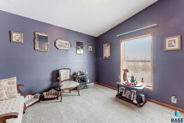 27549 475th Ave, Worthing, SD 57077 - sitting room with vaulted ceiling, carpet, and baseboards