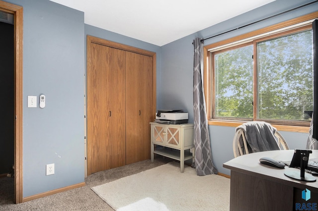 46687 276th St, Lennox, SD 57039 - carpeted home office featuring baseboards