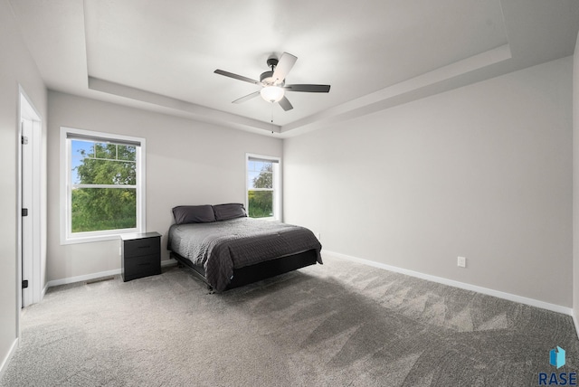 9001 W Rathburn St, Sioux Falls, SD 57103 - bedroom featuring a raised ceiling, baseboards, carpet floors, and a ceiling fan