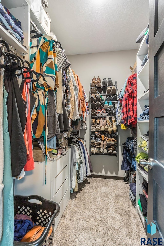 2604 S Ronell Cir, Sioux Falls, SD 57106 - walk in closet with carpet floors