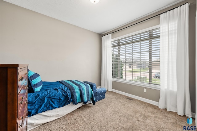 8216 W 51st St, Sioux Falls, SD 57106 - carpeted bedroom featuring baseboards