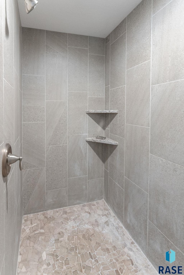 2101 S Meadowview Ave, Sioux Falls, SD 57110 - bathroom featuring a tile shower