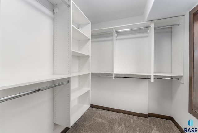 2101 S Meadowview Ave, Sioux Falls, SD 57110 - spacious closet with carpet floors