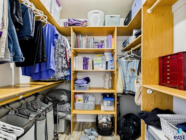 204 W Mountain Ash St, Brandon, SD 57005 - spacious closet featuring wood finished floors