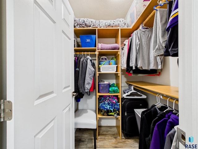 204 W Mountain Ash St, Brandon, SD 57005 - walk in closet with wood finished floors