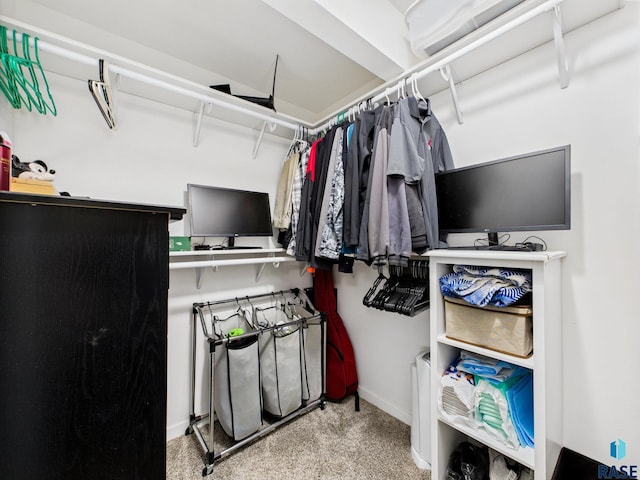 204 W Mountain Ash St, Brandon, SD 57005 - view of spacious closet