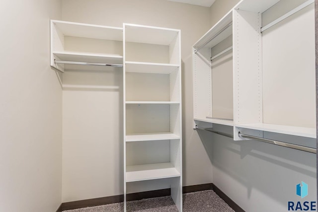 252 Devitt Dr, Harrisburg, SD 57032 - view of spacious closet