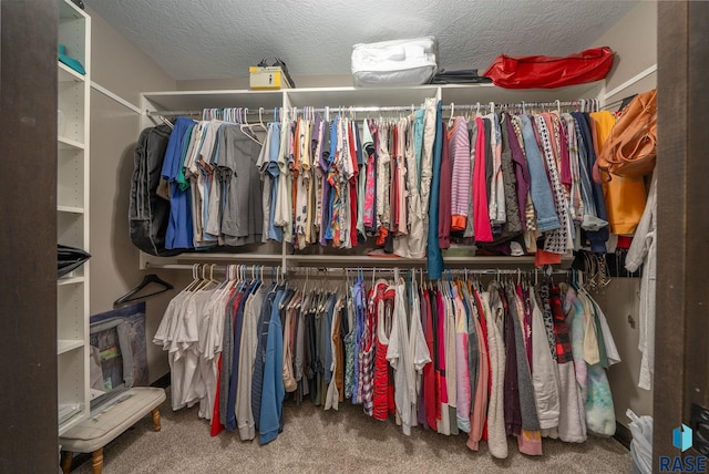 217 E Antioch St, Tea, SD 57064 - spacious closet featuring carpet floors