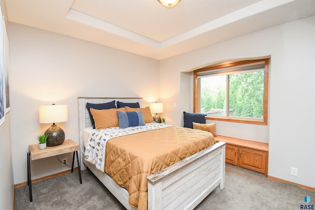 6312 S Heatherridge Ave, Sioux Falls, SD 57108 - bedroom with light carpet and a raised ceiling
