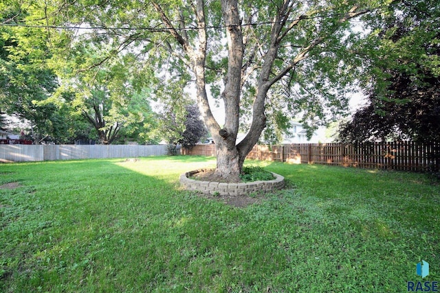 3601 S Holbrook Ave, Sioux Falls, SD 57106 - view of fenced backyard
