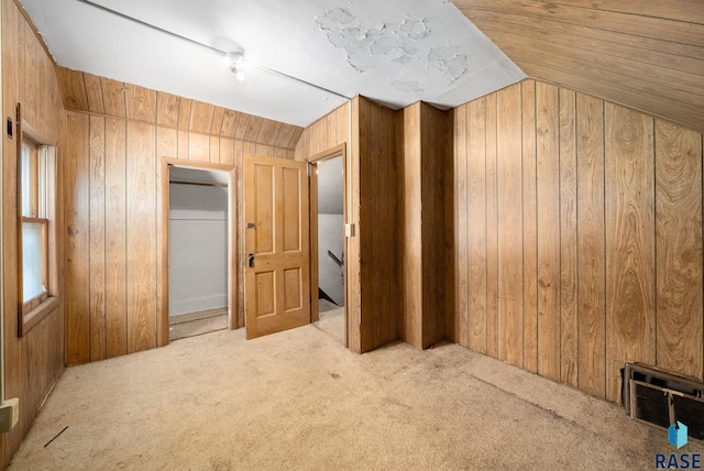 1407 N Main Ave, Sioux Falls, SD 57104 - additional living space featuring wood walls and carpet