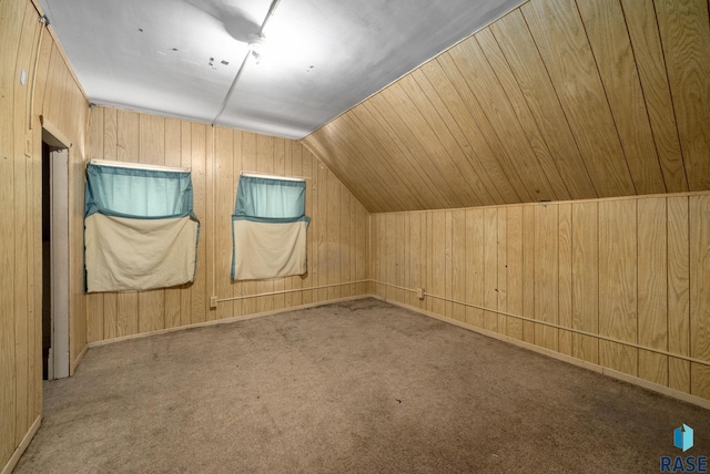 1407 N Main Ave, Sioux Falls, SD 57104 - additional living space featuring vaulted ceiling, wooden walls, and carpet flooring