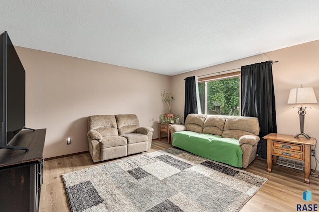 5909 W Bakker Park Dr, Sioux Falls, SD 57106 - living area with light wood-style floors