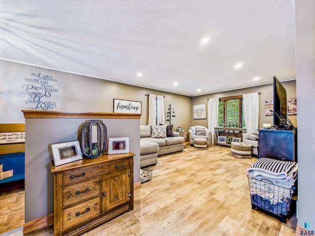 26481 487th Ave, Valley Springs, SD 57068 - living area with wood finished floors and recessed lighting