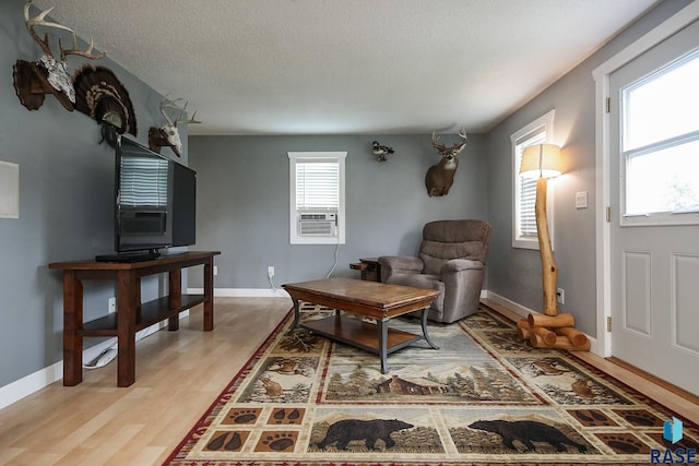 129 S Main Ave, Colman, SD 57017 - living area with light wood finished floors, a textured ceiling, and cooling unit