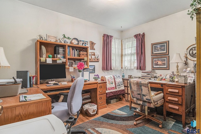 508 E Crawford St, Luverne, MN 56156 - home office featuring wood finished floors