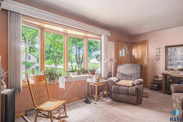 508 E Crawford St, Luverne, MN 56156 - view of carpeted living room