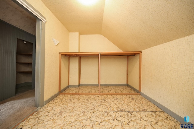 228 N Broadway St, Canton, SD 57013 - spacious closet with lofted ceiling