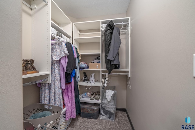 7513 E 49th St, Sioux Falls, SD 57110 - walk in closet featuring carpet flooring