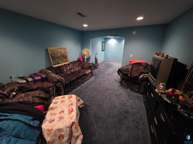 3333 W Ralph Rogers Rd, Sioux Falls, SD 57108 - carpeted living area featuring arched walkways and recessed lighting