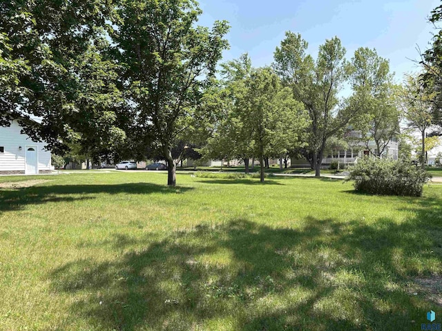 421 E 2nd St, Miller, SD 57362 - view of green lawn