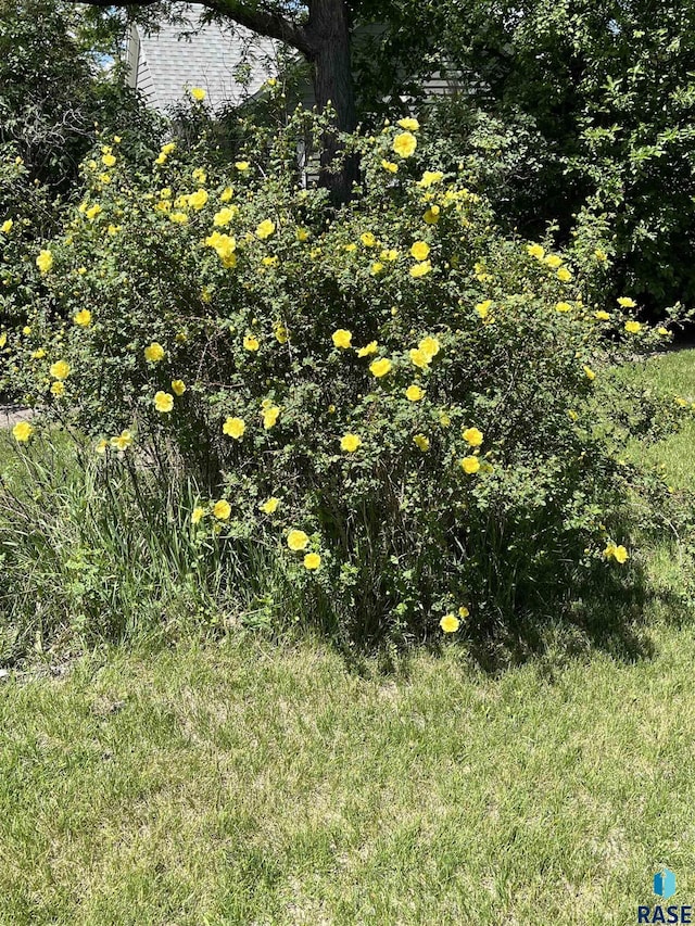 421 E 2nd St, Miller, SD 57362 - view of nature
