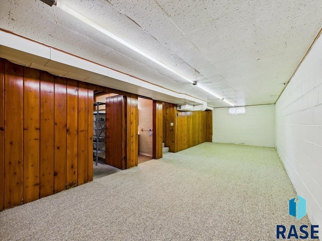 1721 W 11th St, Sioux Falls, SD 57104 - finished basement with concrete block wall, carpet flooring, and wood walls
