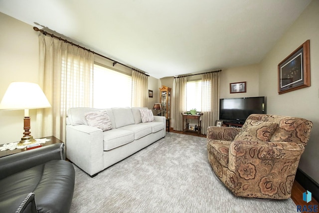 429 S Elm St, Lennox, SD 57039 - living room featuring carpet flooring