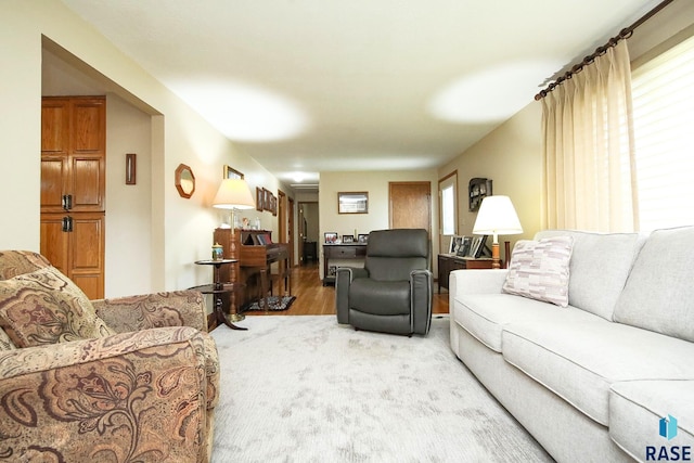 429 S Elm St, Lennox, SD 57039 - living room featuring wood finished floors