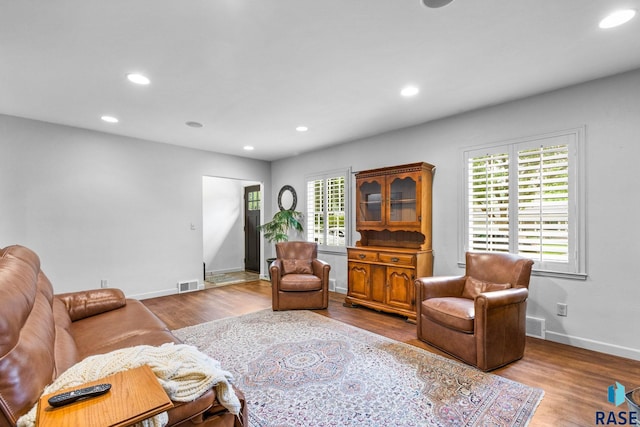 2424 S Main Ave, Sioux Falls, SD 57105 - living area with recessed lighting and wood finished floors
