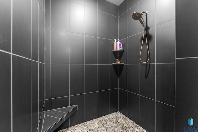 25953 481st Ave, Brandon, SD 57005 - bathroom featuring tiled shower