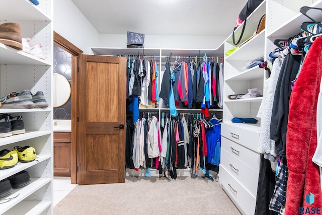 25953 481st Ave, Brandon, SD 57005 - walk in closet with carpet flooring
