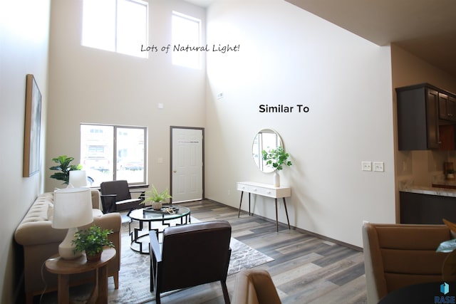 7713 S Townsley Ave Unit 4, Sioux Falls, SD 57108 - living area with plenty of natural light, light wood-type flooring, and a high ceiling