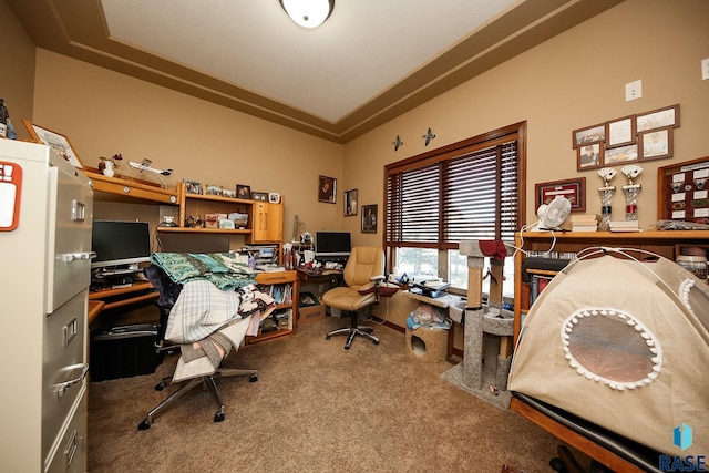 212 S Augusta Ave, Brandon, SD 57005 - carpeted office space with crown molding