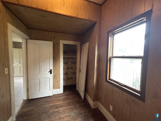 613 N Cedar St, Luverne, MN 56156 - corridor featuring dark wood-style floors and wooden walls
