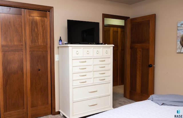 6707 S Witzke Ave, Sioux Falls, SD 57108 - bedroom featuring light colored carpet