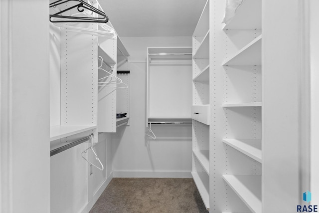 4513 S Southridge Dr, Sioux Falls, SD 57105 - spacious closet with carpet flooring