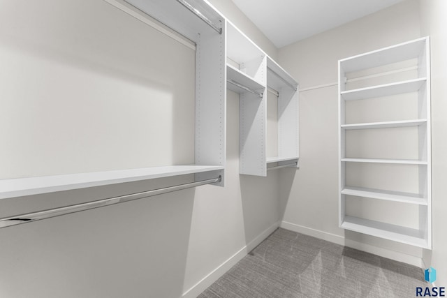 106 N Bryggen Pl, Sioux Falls, SD 57107 - walk in closet with light carpet