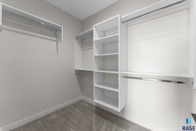 106 N Bryggen Pl, Sioux Falls, SD 57107 - spacious closet featuring carpet floors