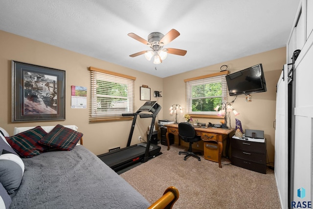 26045 485th Ave, Valley Springs, SD 57068 - office with carpet, plenty of natural light, and ceiling fan