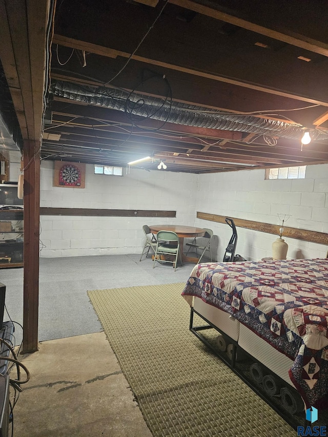 26045 485th Ave, Valley Springs, SD 57068 - view of below grade area