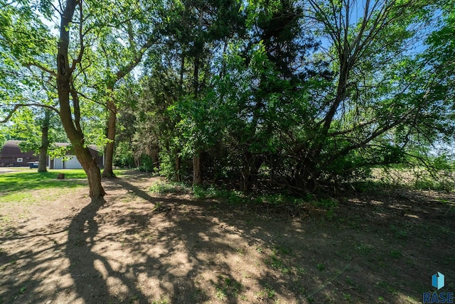 26045 485th Ave, Valley Springs, SD 57068 - view of yard