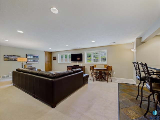 18 S Elkjer Cir, Sioux Falls, SD 57103 - living room with carpet, recessed lighting, and stone finish floors