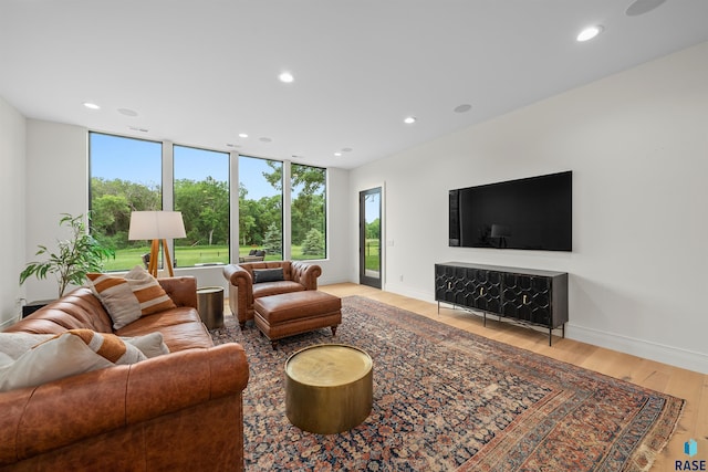 1617 S Scarlet Oak Pl, Sioux Falls, SD 57110 - living area with recessed lighting, light wood-type flooring, and healthy amount of natural light