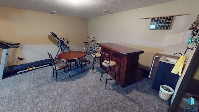 210 Lindsay Dr, Aurora, SD 57002 - office area featuring carpet, a bar, and a textured ceiling